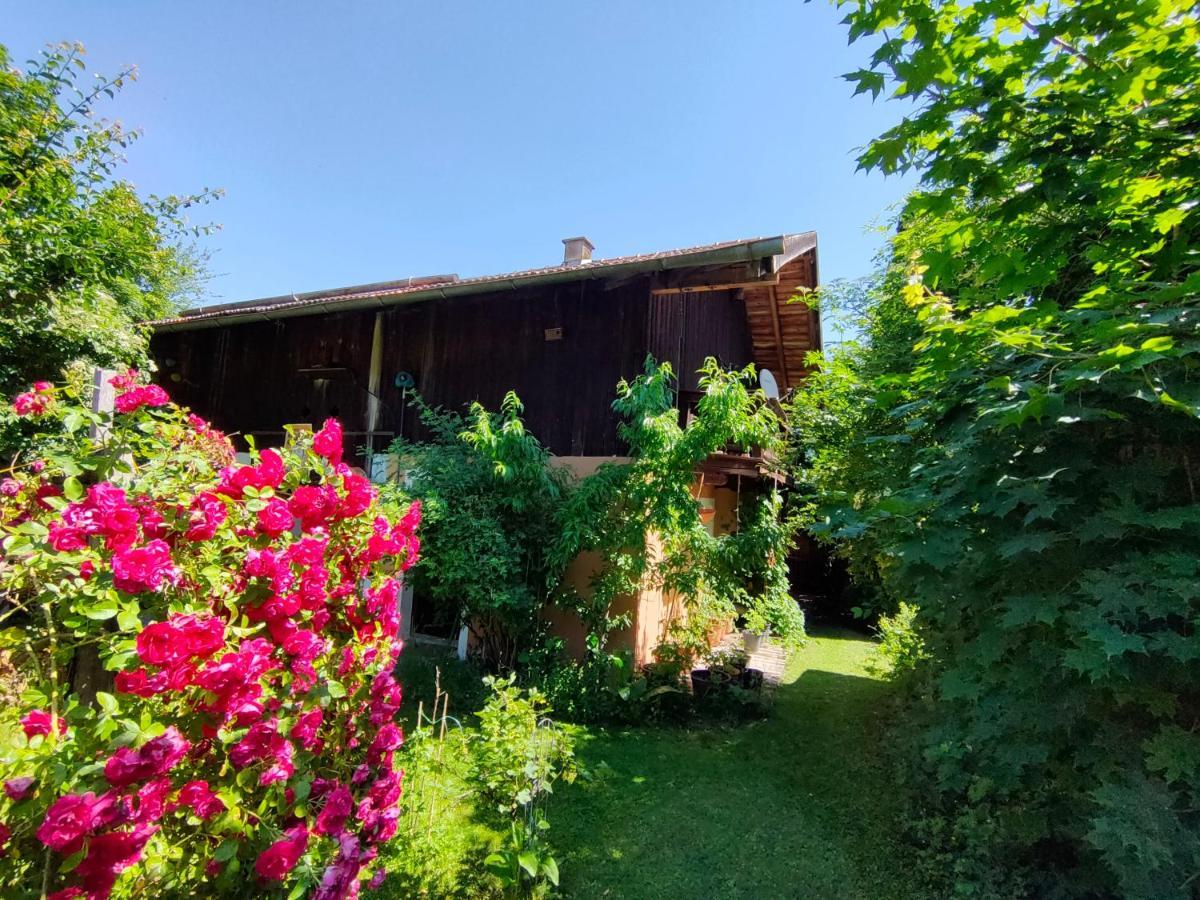 Gemuetliche Ferienwohnung Mit Kamin Und Garten Гармиш-Партенкирхен Екстериор снимка